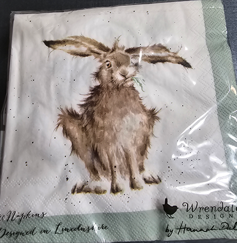 K004 WRENDALE DESIGNS "HARE BRAINED" 13" DINNER NAPKIN