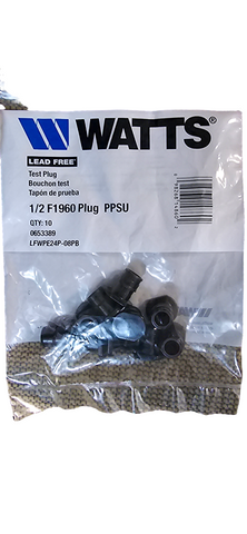 WATTS LFWPE24P-08PB