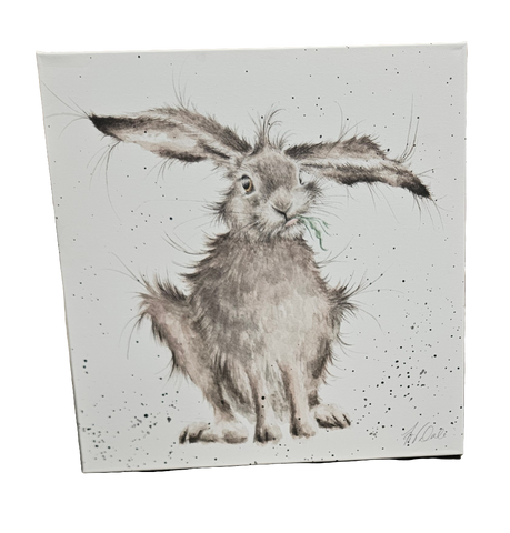 CANM-CS052 WRENDALE DESIGNS "HARE BRAINED" CANVAS
