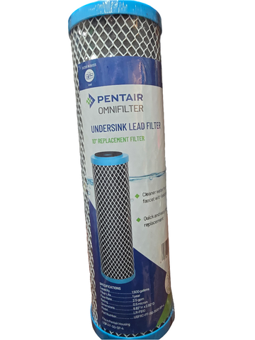 LR-FB10 PENTAIR LEAD FILTER