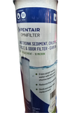 DFX-CB-10 PENTAIR CARBON FILTER