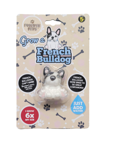 BB5229 BOXER GIFTS GROW A FRENCH BULLDOG