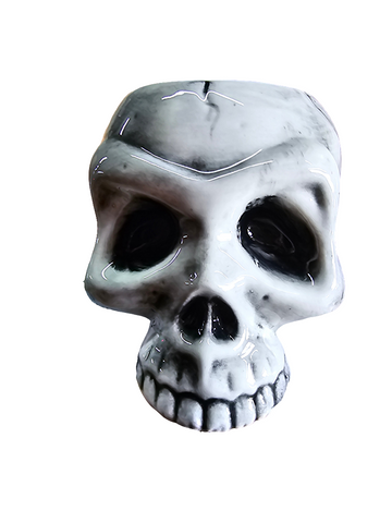 CSS-010213 BESPOKE SKULL