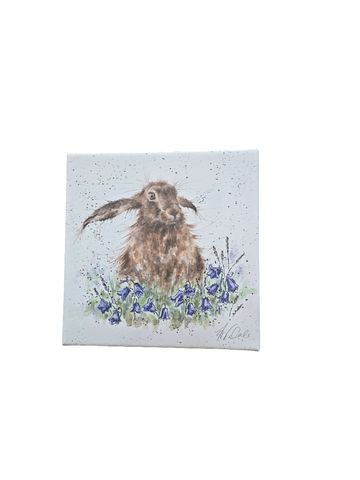 CANS-CS094 WRENDALE DESIGNS "BRIGHT EYES" CANVAS