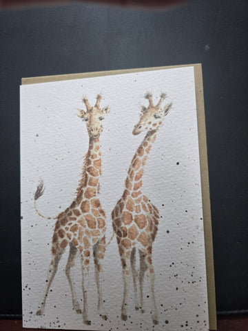 AZ003 "LEFTY" THE ZOOLOGY COLLECTION GREETING CARD