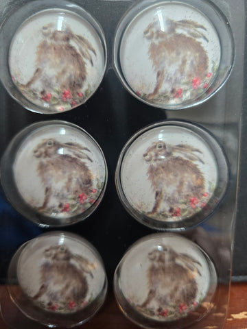 MGT008-6 "RABBIT" FRIDGE 6P MAGNET WRENDALE DESIGNS