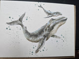 AZ032 "MARINE BLUE" THE ZOOLOGY COLLECTION GREETING CARD