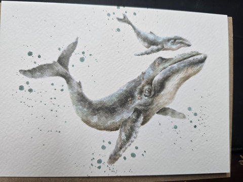 AZ032 "MARINE BLUE" THE ZOOLOGY COLLECTION GREETING CARD