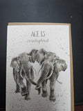 AZ016 "AGE IS IRRELEPHANT" THE ZOOLOGY COLLECTION GREETING CARD