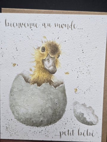 FOC011 WRENDALE DESIGN BIENVENUE AU MONDE "PETIT BEBE"