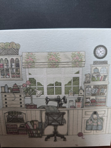 NW08 NOTECARD PACK 12 NOTECARDS ENVELOPES BY SALLY SWANNELL