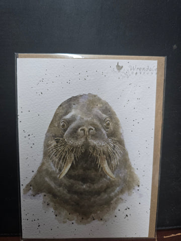 AZ033 THE FISHERMAN" THE ZOOLOGY COLLECTION CARD WRENDALE DESIGNS
