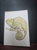 AZ002 WRENDALE DESINS "CHAMELEON" THE ZOOLOGY COLLECTION GREETING CARD