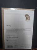 AOC099 "OTTERLY" HAPPY BIRTHDAY CARD WRENDALE DESIGNS