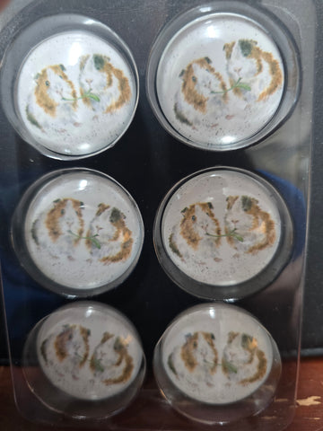 MGT006-6 "GUINEA PIG" FRIDGE 6P MAGNET WRENDALE DESIGNS