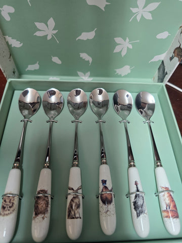 WN1101-XG TEASPOONS SET OF 6 WRENDALE DESIGNS