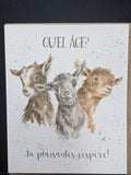 FOC016 WRENDALE DESIGN QUEL AGE "IN TU PLAISANTES JESPERE"