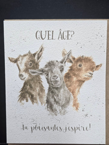 FOC016 WRENDALE DESIGN QUEL AGE "IN TU PLAISANTES JESPERE"