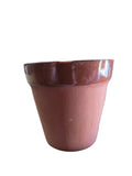 CSS-010324 BESPOKE PLANTER BAR GLASS