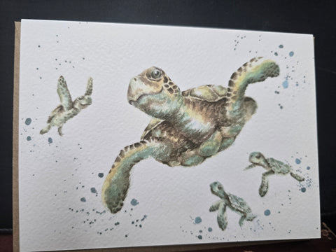 AZ031 "SWIMMING SCHOOL" THE ZOOLOGY COLLECTION GREETING CARD