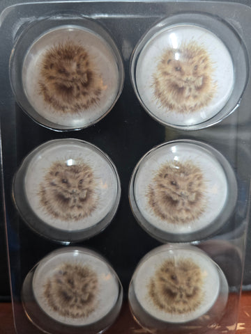 MGT012-6 "PORCUPINE" FRIDGE 6P MAGNET WRENDALE DESIGNS