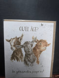 FOC016 "QUEL AGE" HAPPY BIRTHDAY CARD WRENDALE DESIGNS