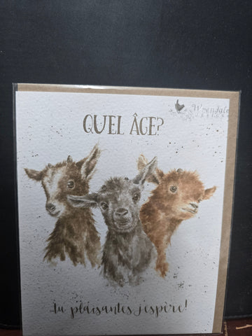 FOC016 "QUEL AGE" HAPPY BIRTHDAY CARD WRENDALE DESIGNS