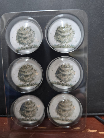 MGT005-6 "OWLS" FRIDGE 6P MAGNET WRENDALE DESIGNS