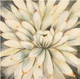 29-0004 HDC CANVAS CLOSE BLOOM WHITE 40" X 40"