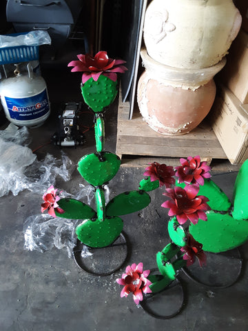 Cactus-MD /Nopal w/flower