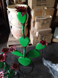 Cactus-LG /Nopal w/flower