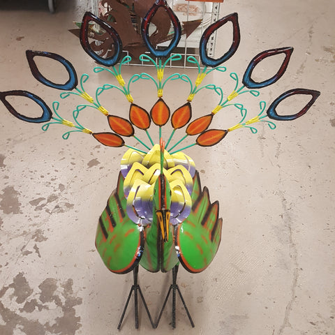 Peacock -Multi Color with Tail