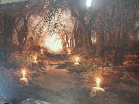 Halloween Canvas Light up 16"x12"