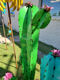 Cactus-Tall Shape/Metal Decor