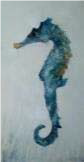 09648 HDC CANVAS SEA HORSE 24"X48"